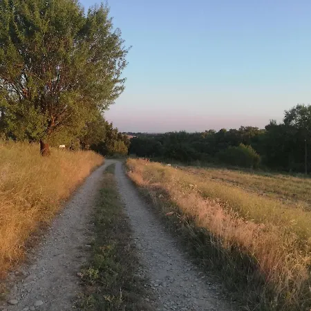 Bastide La Guerine Charles En Provence Holiday home