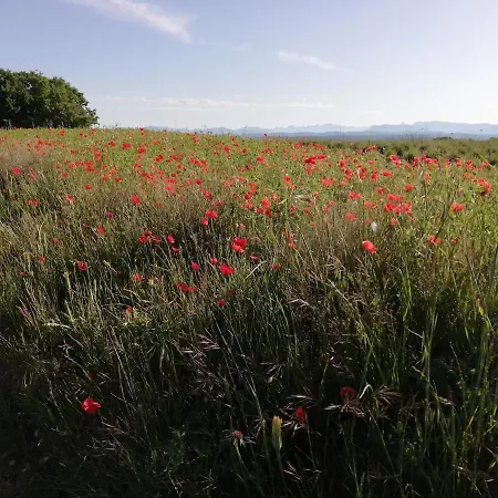 Bastide La Guerine Charles En Provence Holiday home *