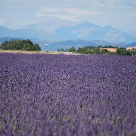 Bastide La Guerine Charles En Provence Holiday home Valensole