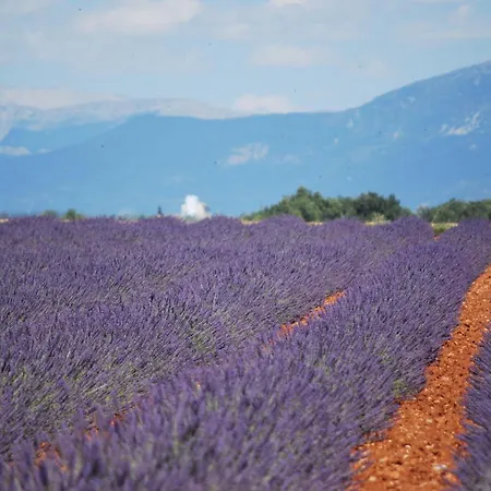 Bastide La Guerine Charles En Provence Holiday home *